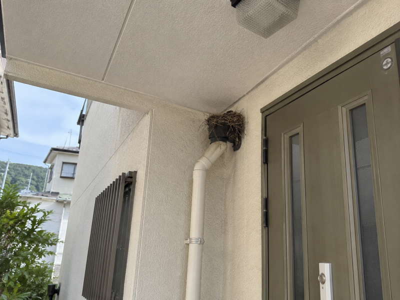鳥の巣撤去｜アシストしらさぎ